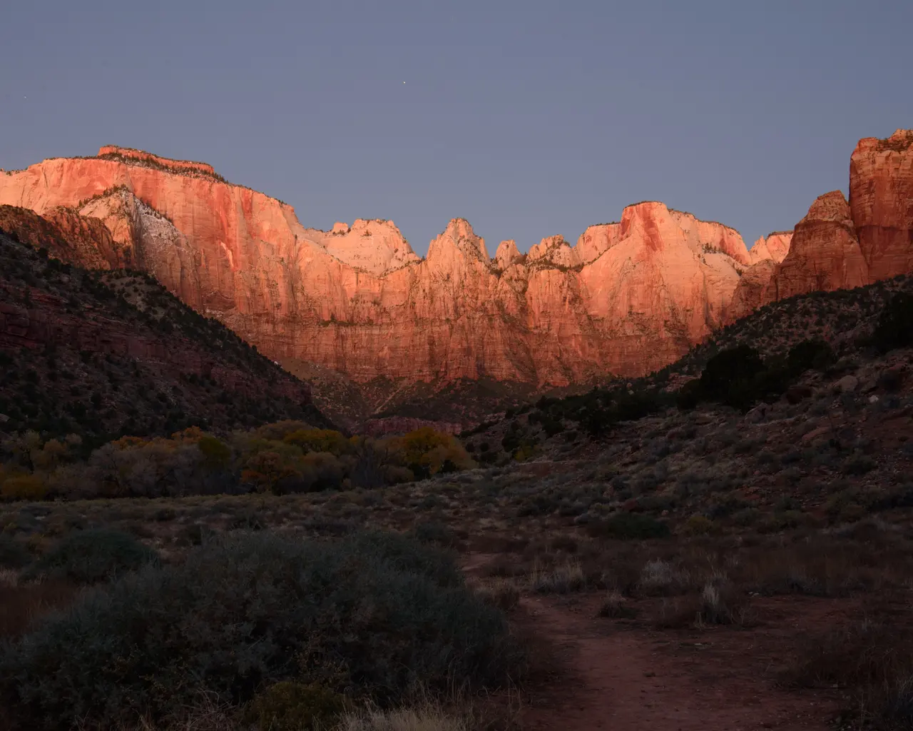 Zion's red canyon walls catching the first warm light of sunrise